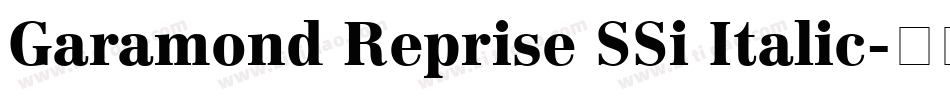 Garamond Reprise SSi Italic字体转换